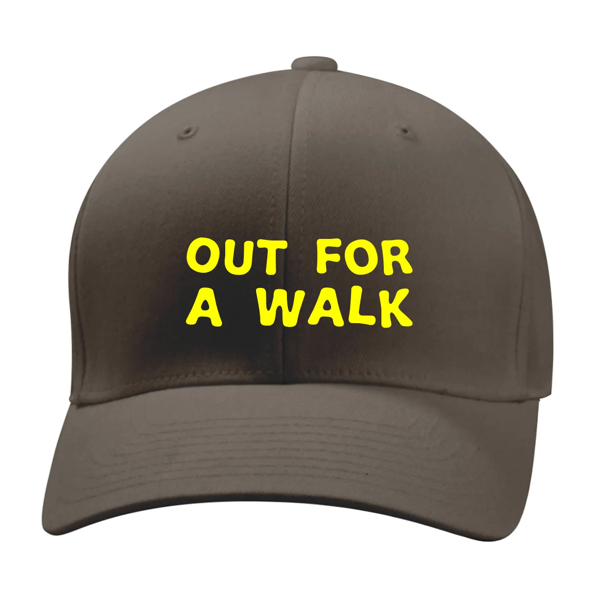 Out for
a Walk Fitted Mid Profile Hat