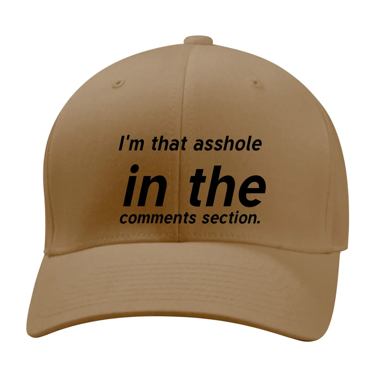I'm that asshole
in the
comments section. Fitted Mid Profile Hat