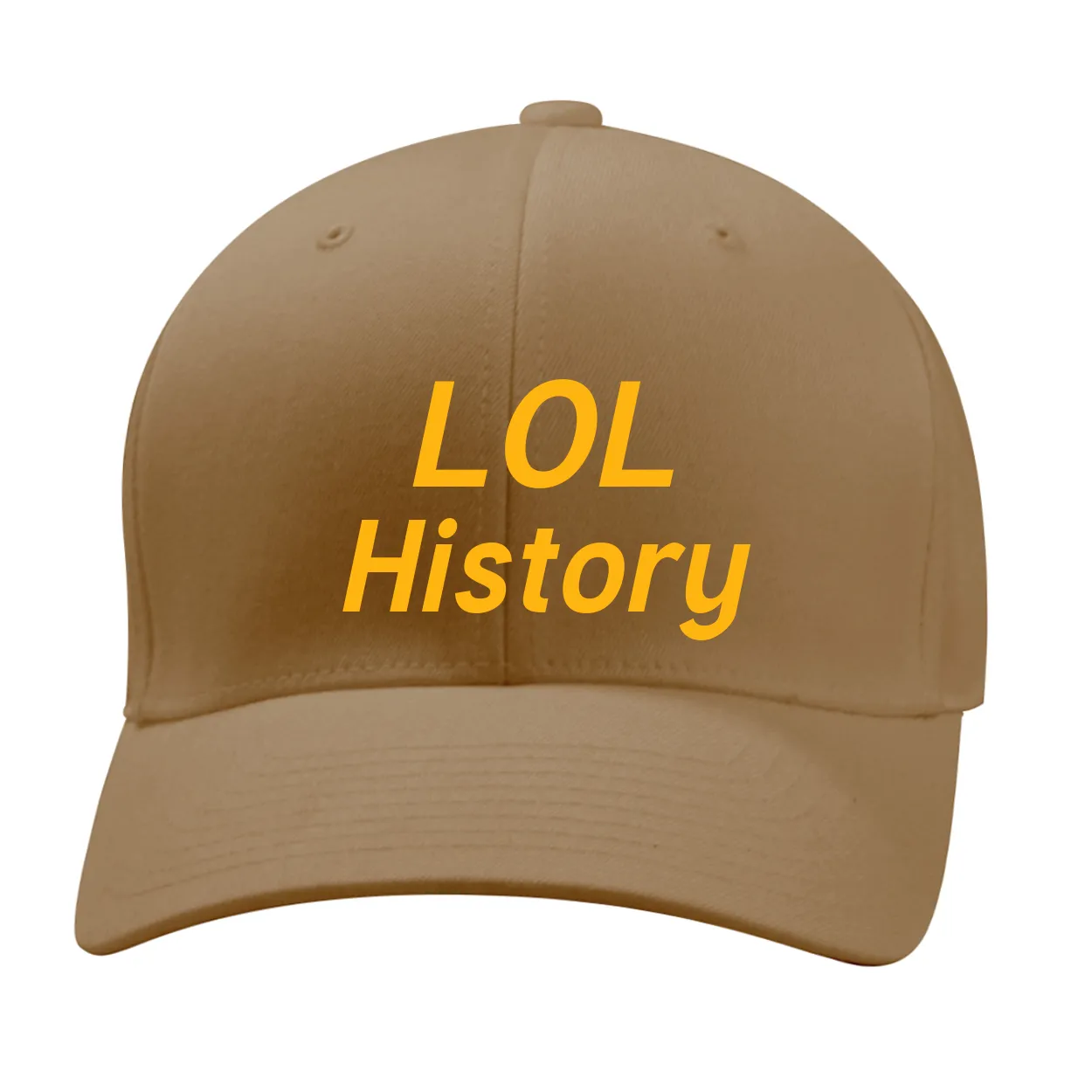 LOL
History Fitted Mid Profile Hat