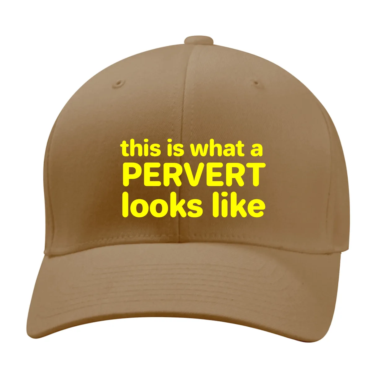 this is what a
PERVERT
looks like Fitted Mid Profile Hat