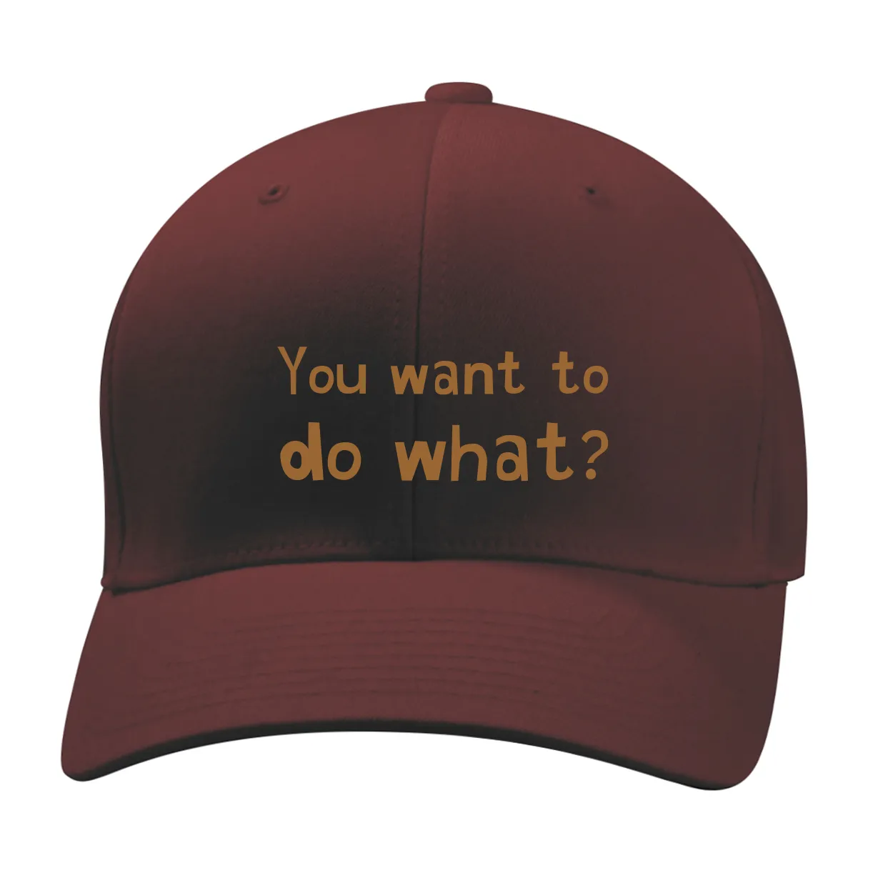 You want to
do what? Fitted Mid Profile Hat