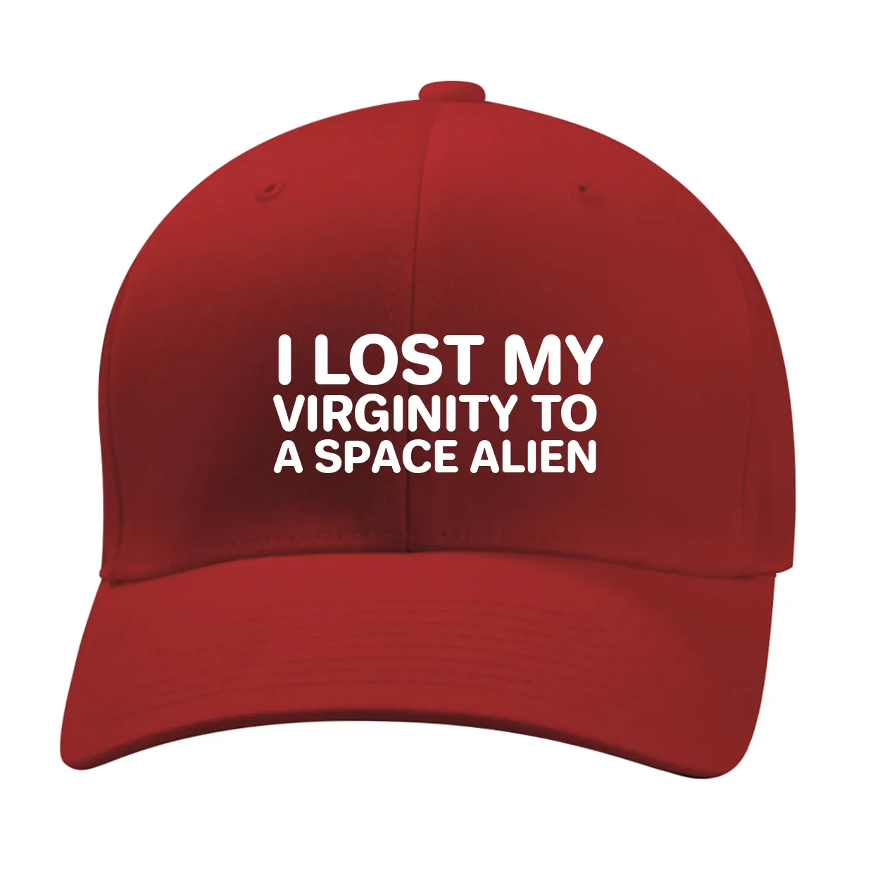 I LOST MY
VIRGINITY TO
A SPACE ALIEN Fitted Mid Profile Hat