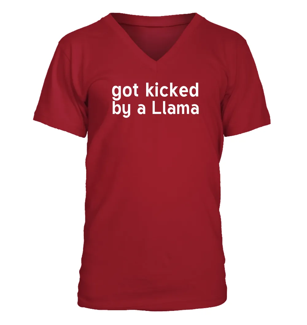 got kicked
by a Llama Men's V-Neck T-Shirt